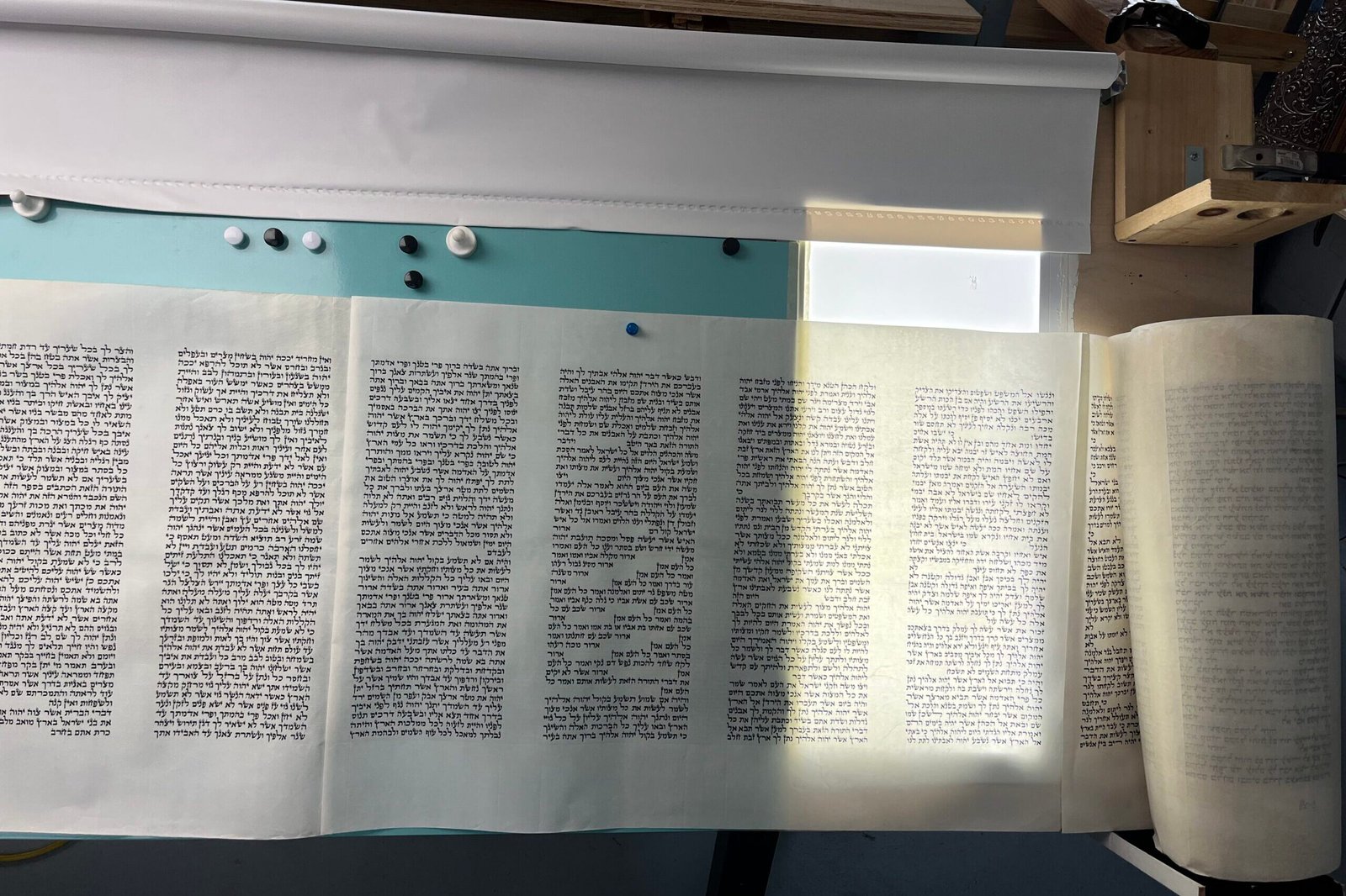 checking the torah over the light box